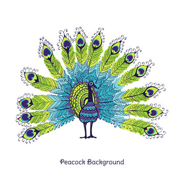 Peacock Card - in vector
