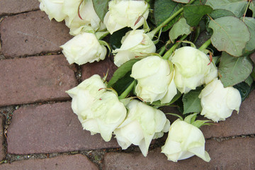 Fototapeta premium Mourning red rose