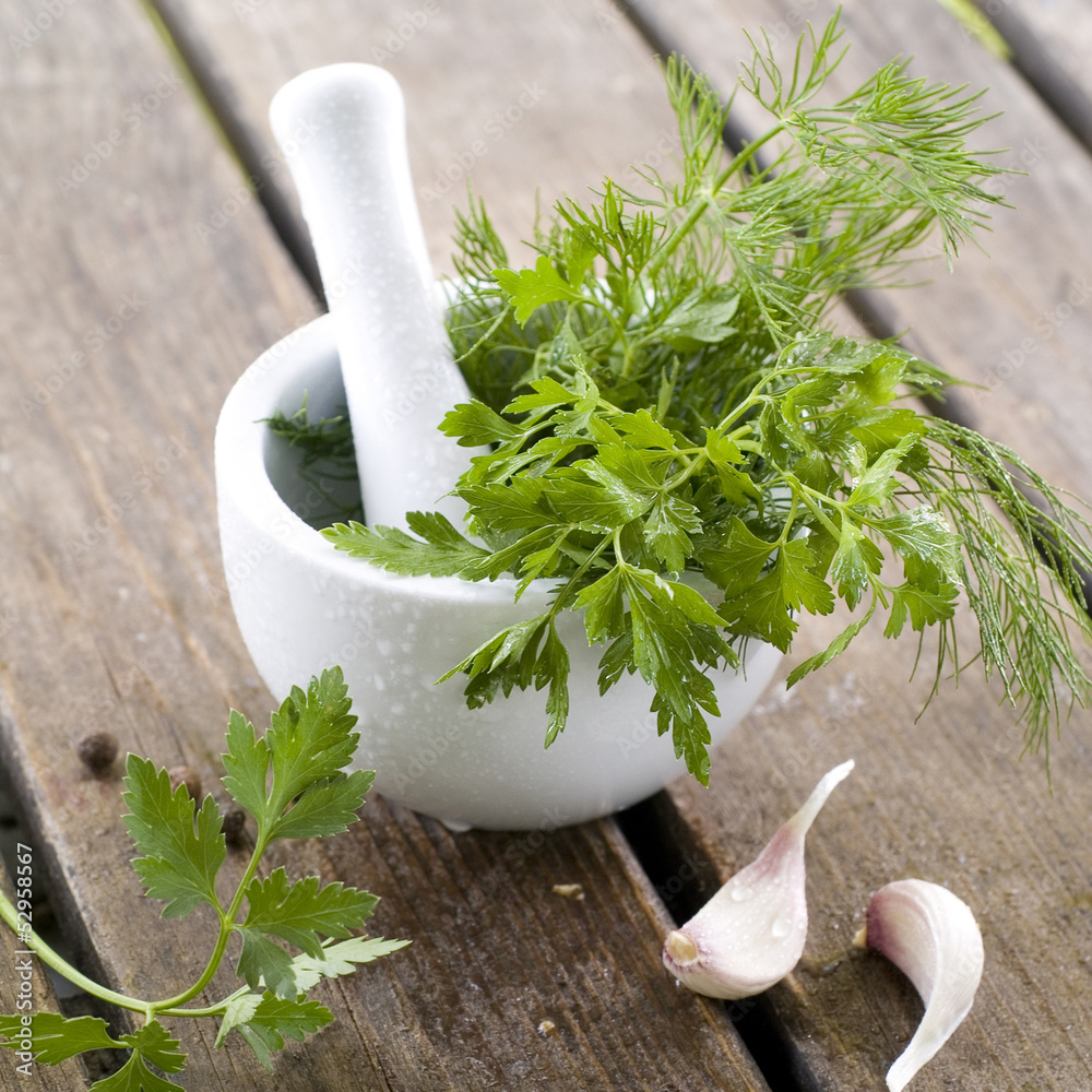 Wall mural fresh herbs