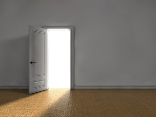 Door to the light