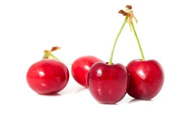 Cherry