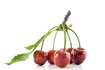 Group of cherries connected together