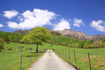 Straight road in meadow and Mt. Yatsugatake