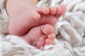 Babyfüße Schwarz Weiß Babyfüße Schwarz Weiß