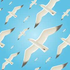 Vector seamless background with seagulls