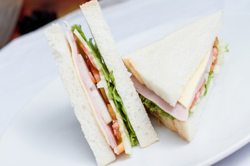 two ham and cheese sandwich