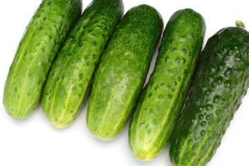 Cucumber