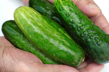 Tasty green cucumbers