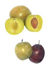 prunes jaune et rouge