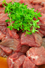 fresh beef meat