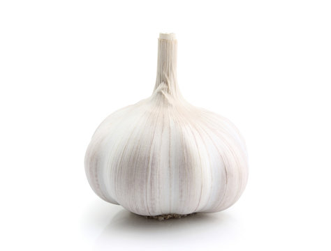 Head of garlic close-up.