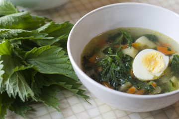 Nettle soup