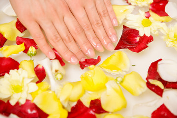 Spa treatment for hands