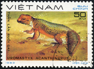 stamp printed in VIETNAM shows a Uromastyx acanthinurus