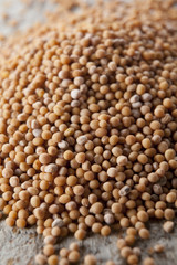Yellow mustard seeds on a rustic background
