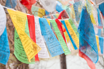 Tibet flags