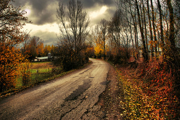 Obraz premium landscape