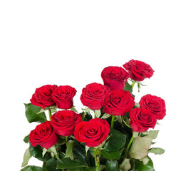 Bouquet of red roses isolated on white background