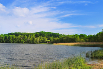 lake and green meadow near the water in sunny day