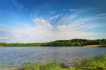 lake and green meadow near the water in sunny day