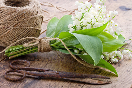 Bouquet of spring flowers