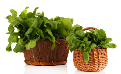 Naklejka premium Fresh herbs in baskets isolated on white