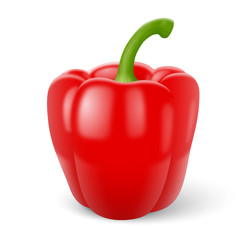 Poivron vectoriel 1