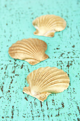 Colorful seashells on color background