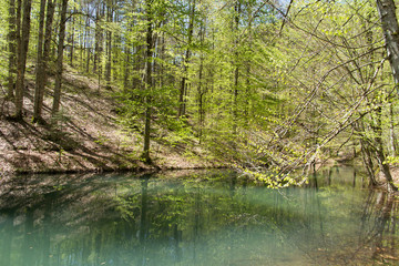 Fototapeta premium Lake and Forest in Bolu