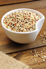 Tricolor quinoa