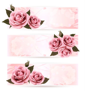 Set of holiday banners with pink beautiful roses. Vector