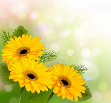 Nature background with yellow beautiful flowers. Vector