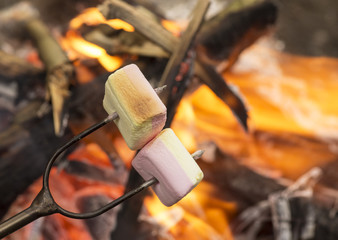 Marshmallow