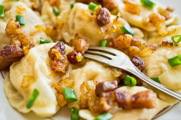 Traditional russian dumplings