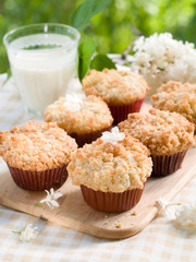 muffin