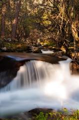 Fototapeta na wymiar Waterfall in deep forest