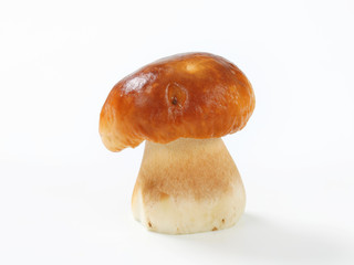 Fototapeta premium Fresh edible mushroom