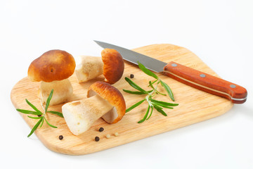 Fresh porcini mushrooms