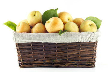 Basket full of aprictos with leafs on a white background