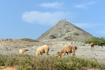 Guajira Peninsula