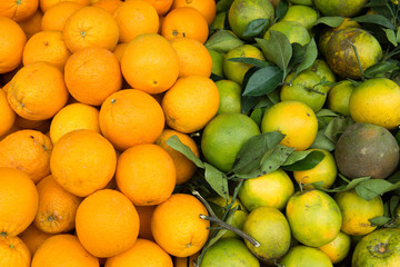 Oranges