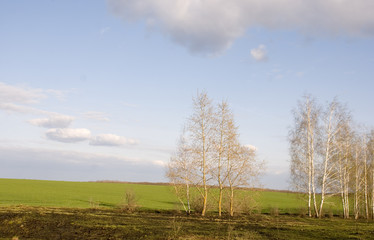 Obraz premium пейзаж