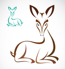 Vector image of an deer on white background