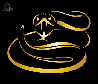 Vector image of a golden snake