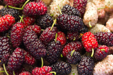 mulberry berry as background