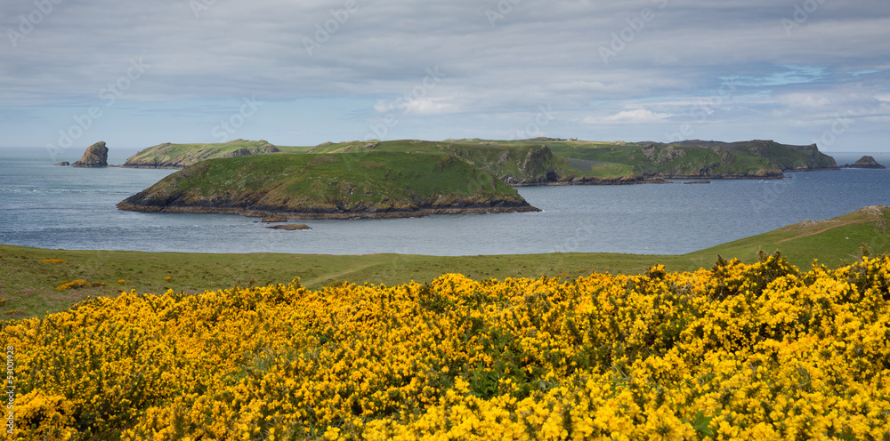 Sticker skomer island wales known for puffins