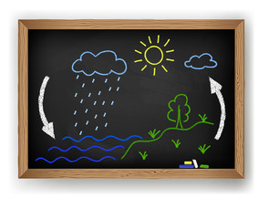 Vector schematic representation of the water cycle