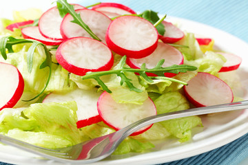 Fresh vegetable salad