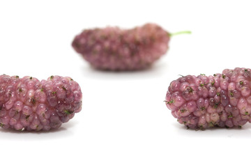 mulberry berry on a white background