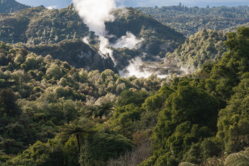 Fototapeta premium thermal valley in Rotorua